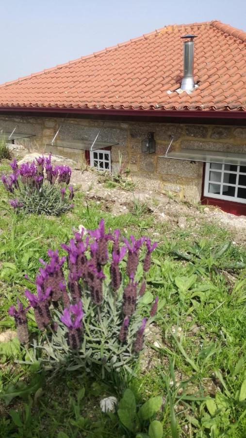 Casa Do Rancho - Turismo Rural Paranhos  Exterior foto